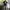 Vintage Y2K T-shirt Pria white black photo 5