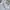 Tommy Hilfiger Y2K Luxury Shirt dress Wanita white photo 4