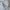 Tommy Hilfiger Y2K Luxury Shirt dress Wanita white photo 7