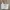 Vintage Coquette Bralette Wanita white photo 1