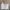 Vintage Coquette Bralette Wanita White