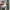 Dickies Streetwear Sweater Pria gray photo 4
