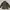 US Army Woodland Ecws Jacket 