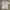 Under Armour Sportswear T-shirt Pria white pink photo 1