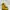 Dr. Martens Grunge Casual Boots Wanita yellow photo 1