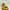Dr. Martens Grunge Casual Boots Wanita Yellow