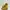 Dr. Martens Grunge Casual Boots Wanita yellow photo 4