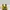 Dr. Martens Grunge Casual Boots Wanita yellow photo 6