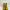 Dr. Martens Grunge Casual Boots Wanita yellow photo 3