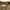 Gramicci Streetwear Casual Casual pants Pria brown photo 6