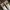 Converse Streetwear Casual Sneakers Pria white photo 1