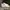 Converse Streetwear Casual Sneakers Pria white photo 3