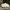 Converse Streetwear Casual Sneakers Pria white photo 2