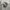 T shirt peanuts x universal studios japan photo 1