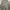 Dolce & Gabbana Vintage Sweater Pria gray photo 3
