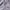 MARK GONZALES SMALL LOGO SHIRT | KEMEJA | HNTR