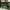 VANS Casual Casual shoe Pria green photo 1