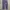 Japanese brand Streetwear Casual pants Pria navy photo 8
