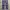 Japanese brand Streetwear Casual pants Pria navy photo 4