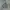 Mouvoir Dark Grey Pullover Hoodie Script Graphic photo 6