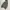 Mouvoir Dark Grey Pullover Hoodie Script Graphic photo 3