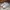 Reebok Casual Sneakers Pria white photo 3