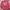 Hysteric Glamour Y2K Sweater Wanita pink photo 1