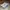 Reebok Casual Sneakers Pria white black photo 3
