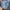 Calvin Klein Minimalist Casual Crop top Wanita blue photo 1