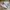 Adidas Casual Sneakers Pria white photo 1
