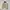 Kangol N-1 Deck Jacket Style Military