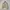 Kangol N-1 Deck Jacket style Military photo 5