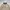 Kangol N-1 Deck Jacket style Military photo 2