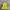Adidas Streetwear Y2K Bomber jacket Pria green photo 1