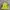 Adidas Streetwear Y2K Bomber Jacket Pria Green