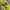 Adidas Streetwear Y2K Bomber jacket Pria green photo 8