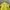 Adidas Streetwear Y2K Bomber jacket Pria green photo 4