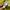 Adidas Streetwear Y2K Bomber jacket Pria green photo 7