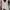 Minimalist Casual Bralette Wanita white photo 1