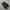 vans sk8 pro photo 3