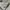 Issey Miyake Y2K Formal shirt Pria multicolor photo 5