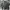 Nike Sportswear Windbreaker Pria gray photo 1