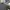 Nike Sportswear Windbreaker Pria gray photo 3