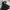 Adidas Gorpcore Puffer Jacket Pria Black