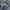 Tsumori Chisato Y2K Ripped jeans Wanita blue photo 6