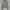 Hollister Casual Hoody Pria gray photo 1