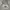 Hollister Casual Hoody Pria gray photo 2