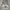 Hollister Casual Hoody Pria Gray