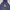 Pancoat Casual Hoody Pria blue photo 2