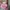 Minimalist Wanita pink photo 3